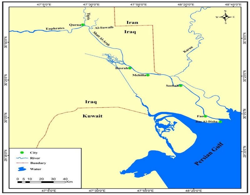 IRAN-IRAQ WAR: CONFLICT ANALYSIS